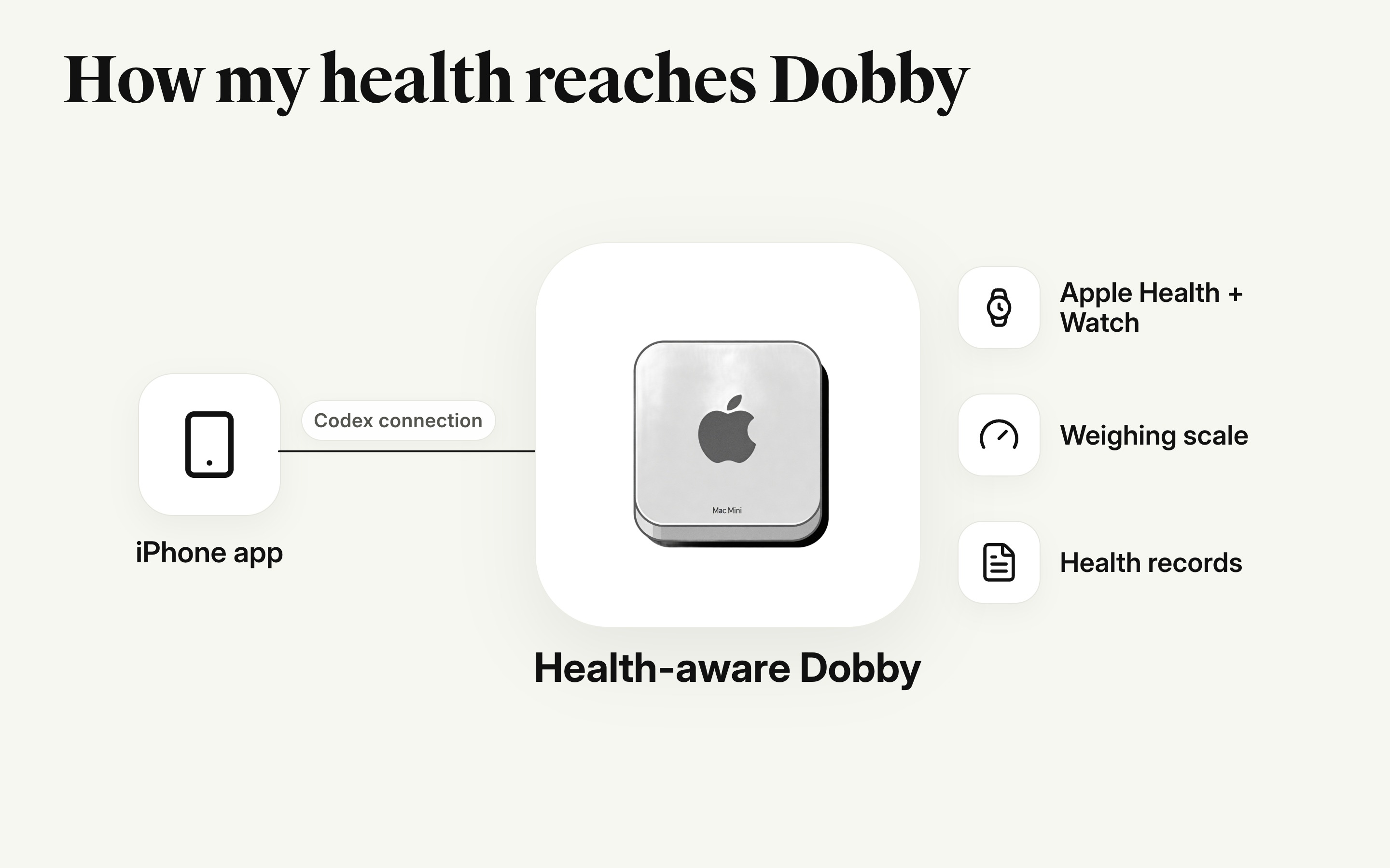 How my health reaches Dobby